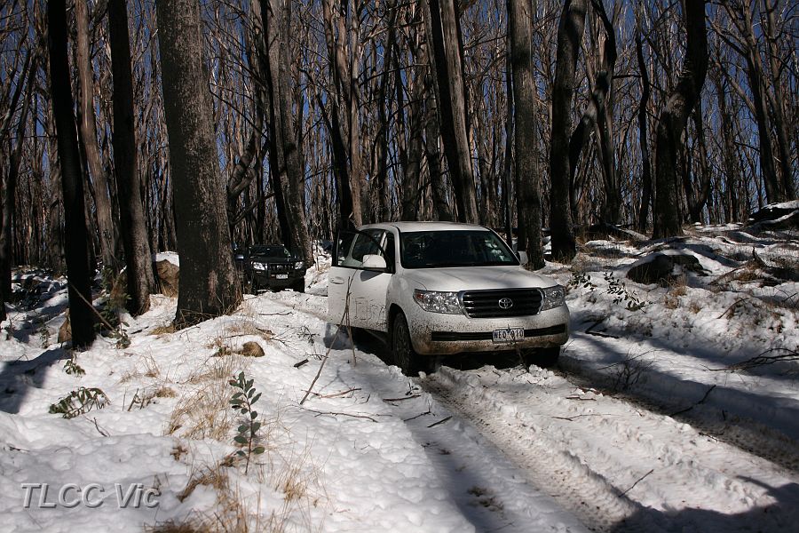 15-Demon on McFadyen Track.JPG